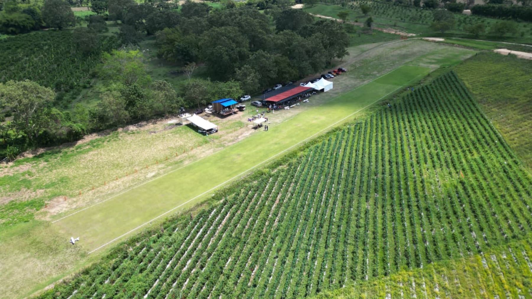 Vista aérea de la pista del club: una franja de césped entre cultivos, con los pits techados y las carpas a un costado.